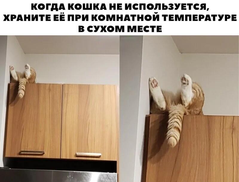 Мем без подписи