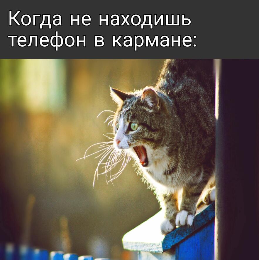 Мем без подписи