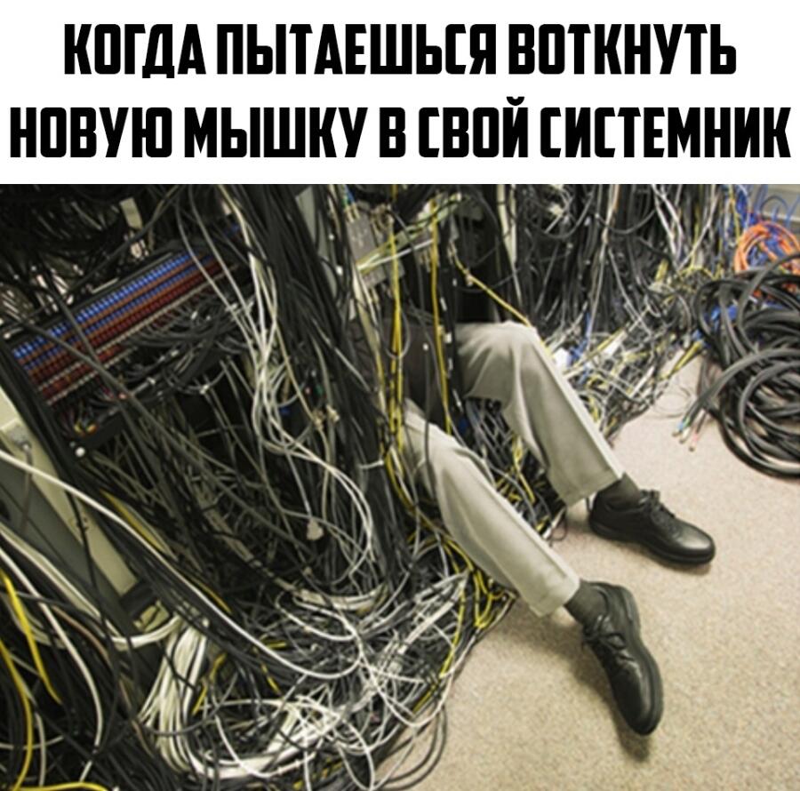 Мем от Piggy