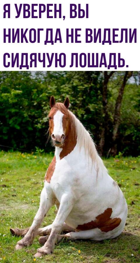 Мем от Piggy