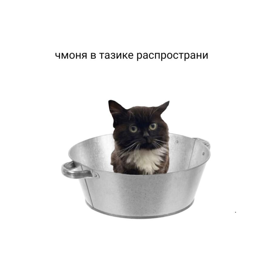 Мем без подписи
