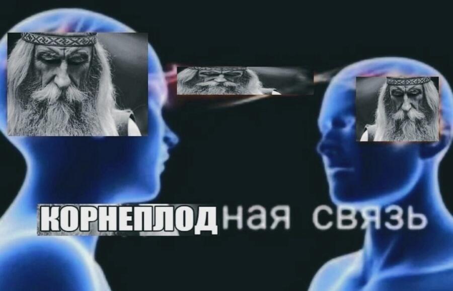 Мем без подписи
