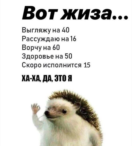 Мем от Piggy