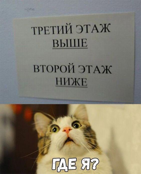 Мем без подписи