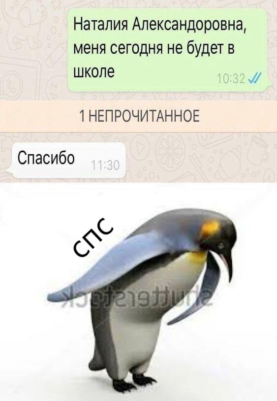 Мем без подписи