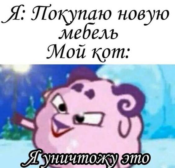 Мем от Piggy
