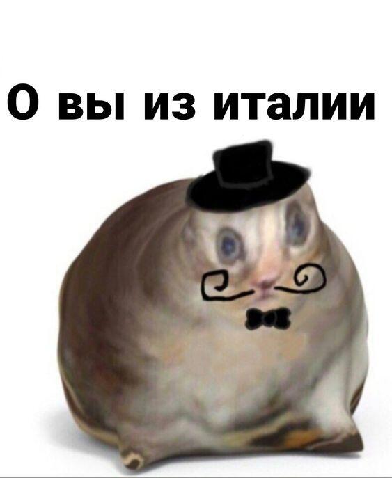 О вы из Англии: все виды