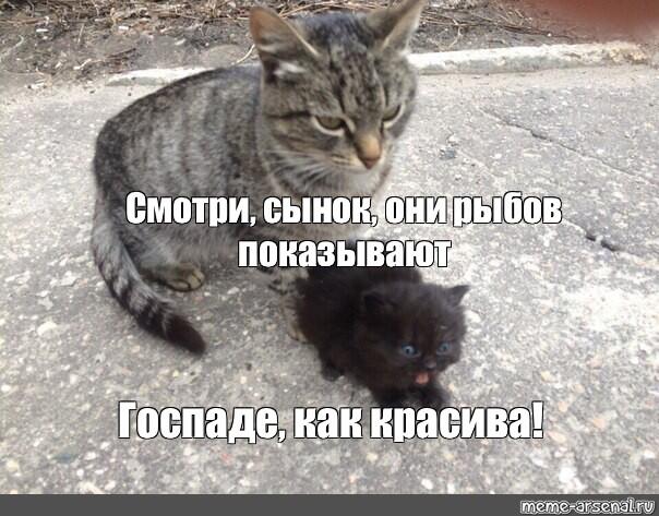 Мем без подписи
