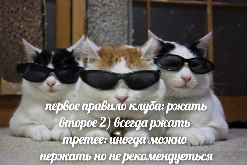 правила группы мемников: