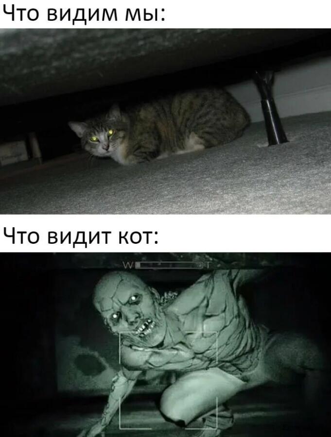 Мем от Ленок