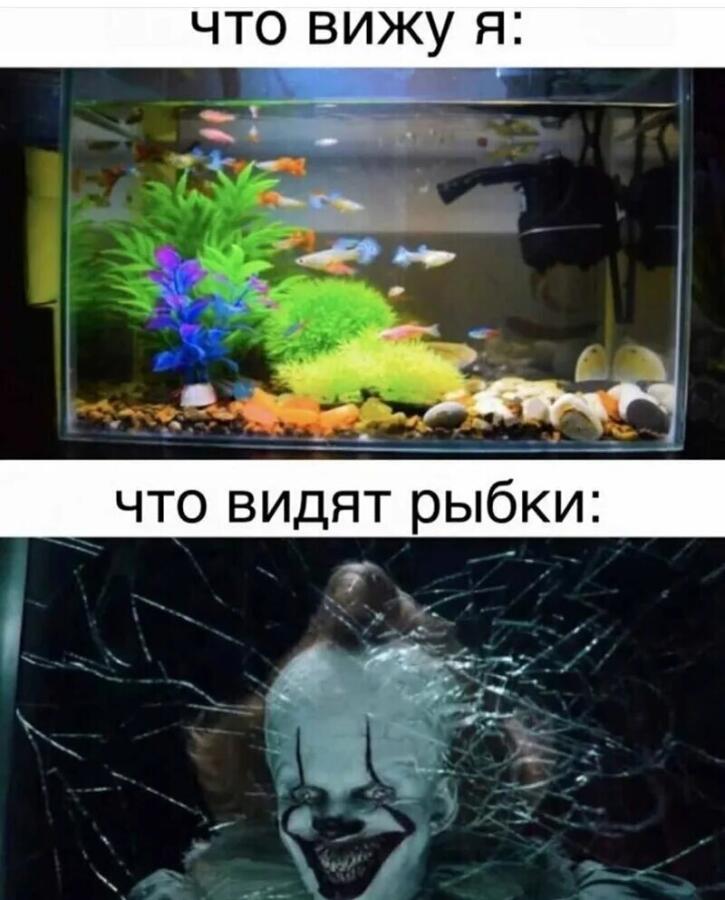 Мем от Ленок