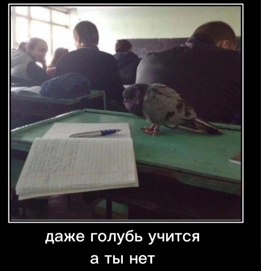 Мем без подписи
