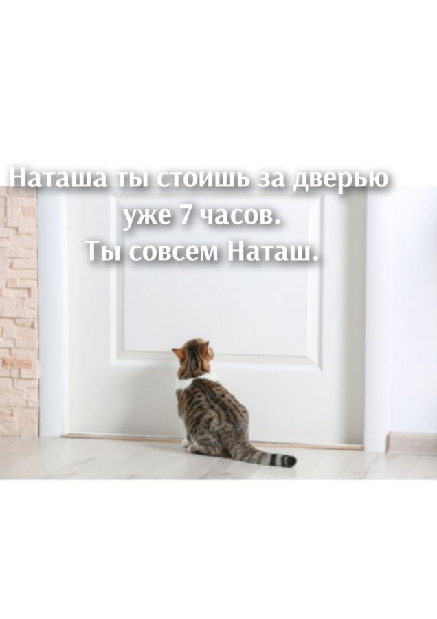 Текст