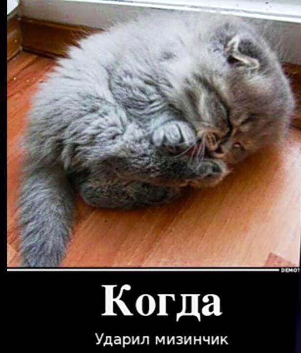 Через экран почуствовал