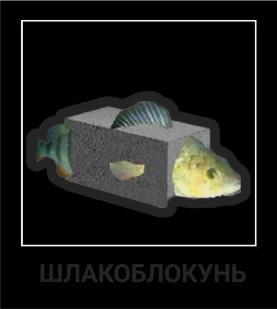 МЕМбрана