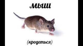 Никто: 
Абсолютно никто: 
Моджанг: