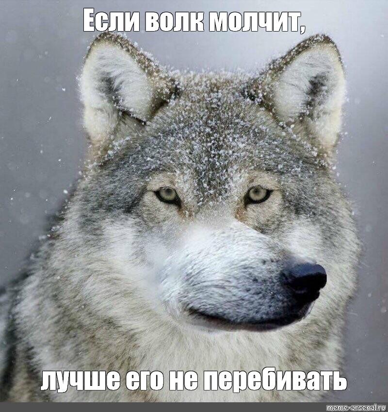 Волк молчит