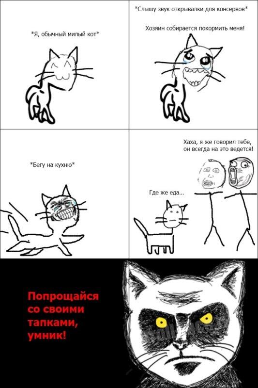 никогда не обманывай своего котика... (и ещё подписывайся на меня!)