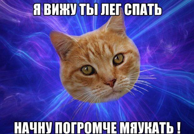 ЕСЛИ НЕ ПОДПИШЕТЕСЬ ТО ЭТОТ КОТИК ЗАМЯУКАЕТ ВАС! (да я теперь всегда буду напоминать о подписке) а ну ещё ставь лайк :3