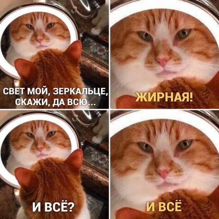 я: о зеркальцо скажи...
зеркало: НЕТ
я: почему?
зеркало: ПОТОМУ