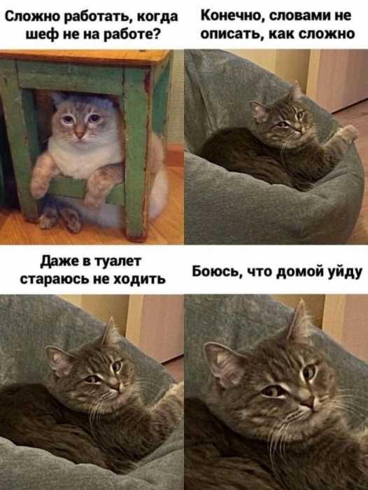 Мем от Мемный_Джони