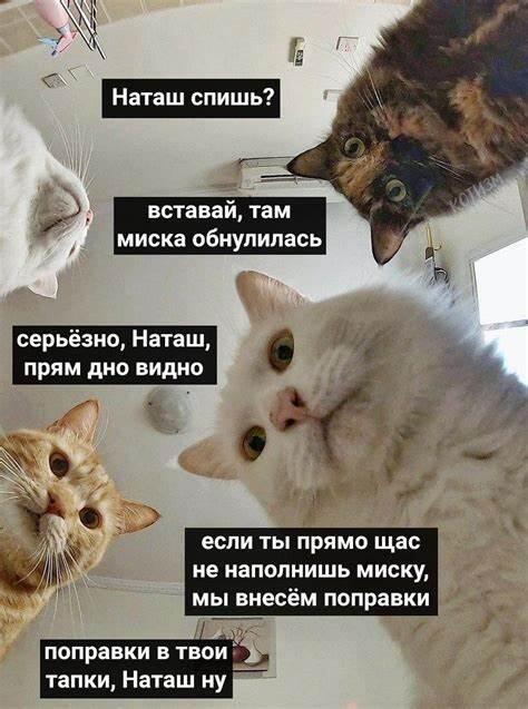 Мем от Мемный_Джони