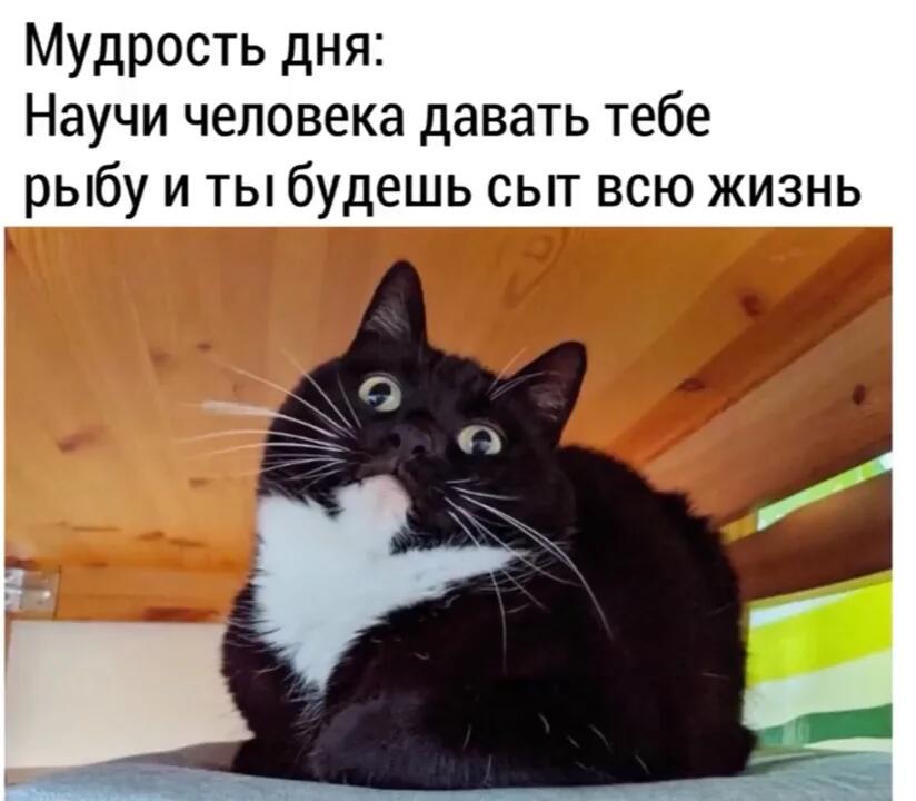 ГЕНИАЛЬНО!