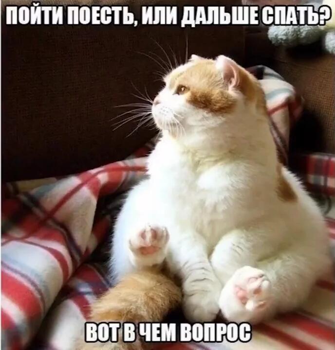 пожрать или пожрать сильно вот в чём вопрос!