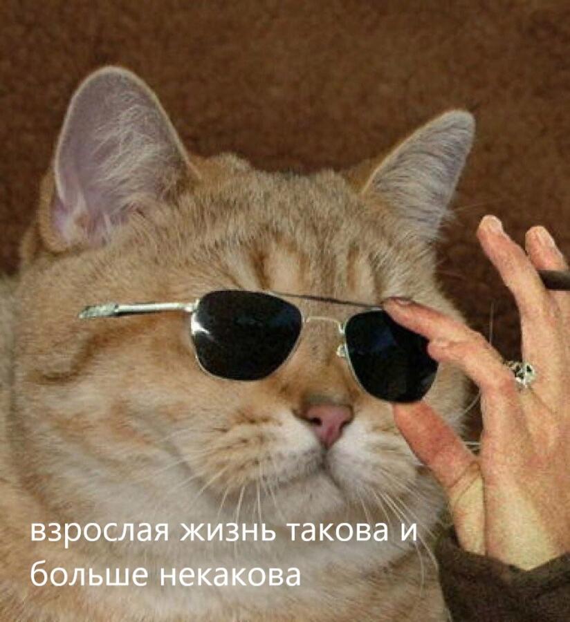 я когда впервые закрыл входную дверь на ключ: