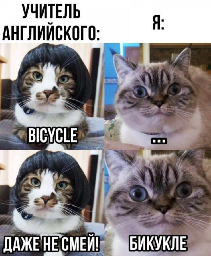 Мем от Фефекты Фикции