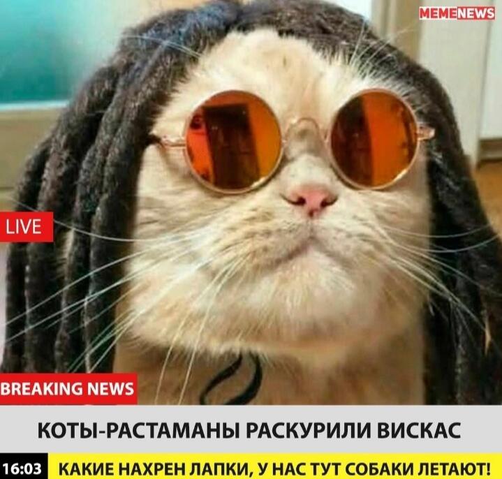 Мем от 🎶FLYTDAN🎶