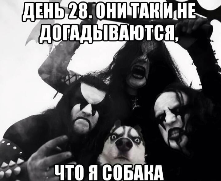 Мем от 🎶FLYTDAN🎶