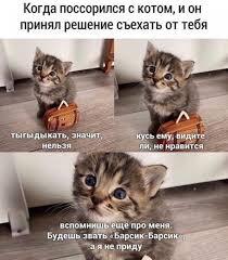 Мем от ЕгорAlexseyFan