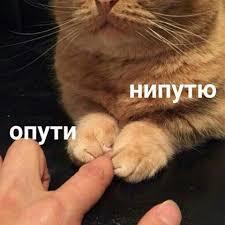 Мем от ЕгорAlexseyFan