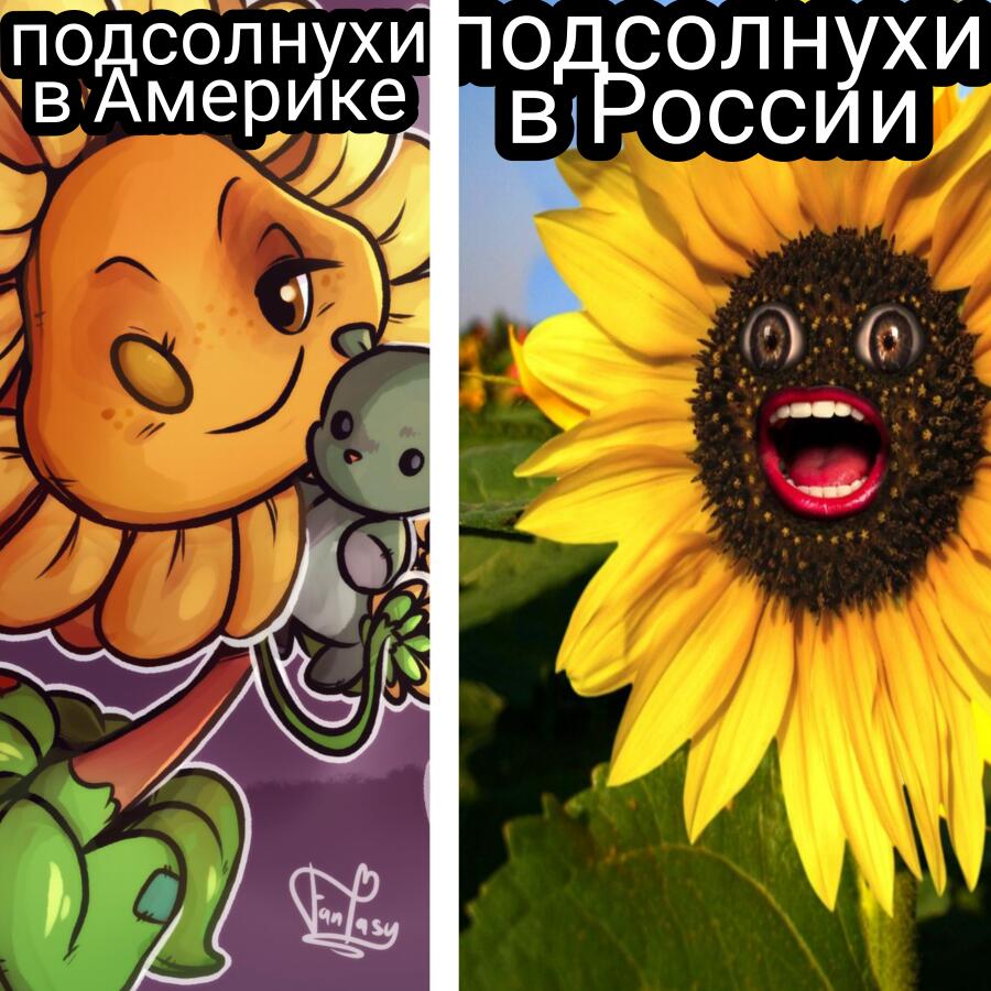 Мем от Амогус