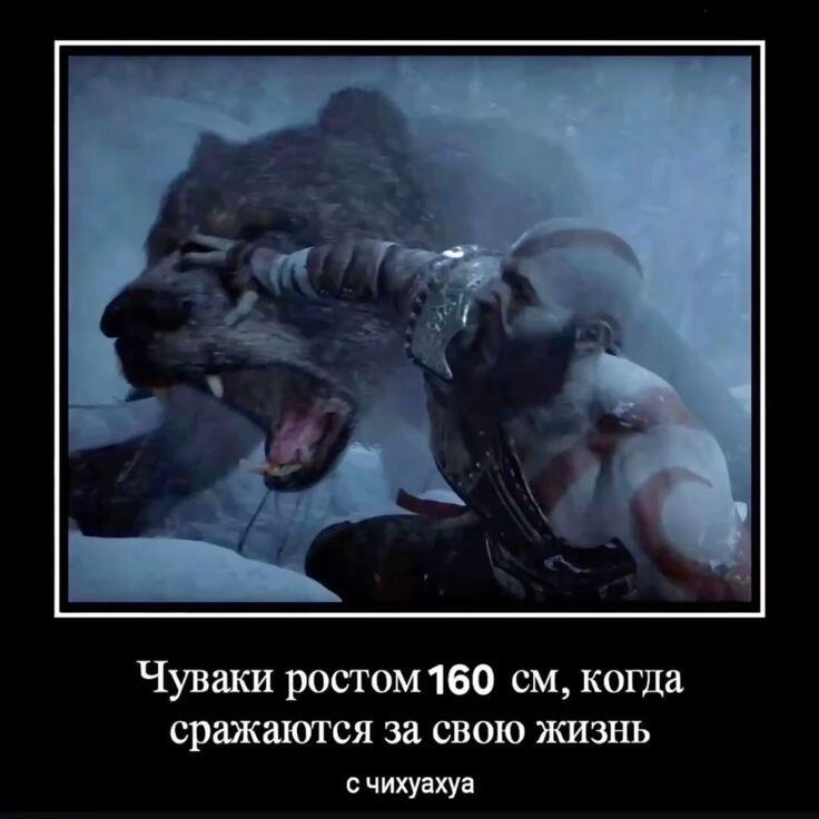 Я 180