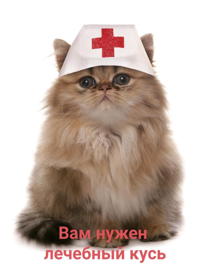 Котя дело говорит