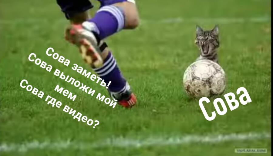 Не, ну такое бывает