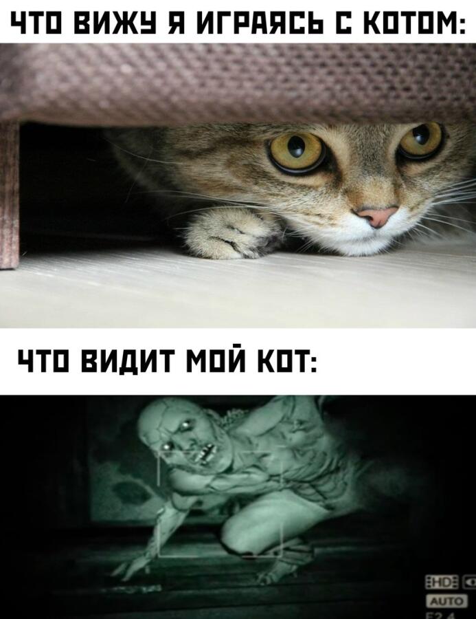 Мем от Звездоцап