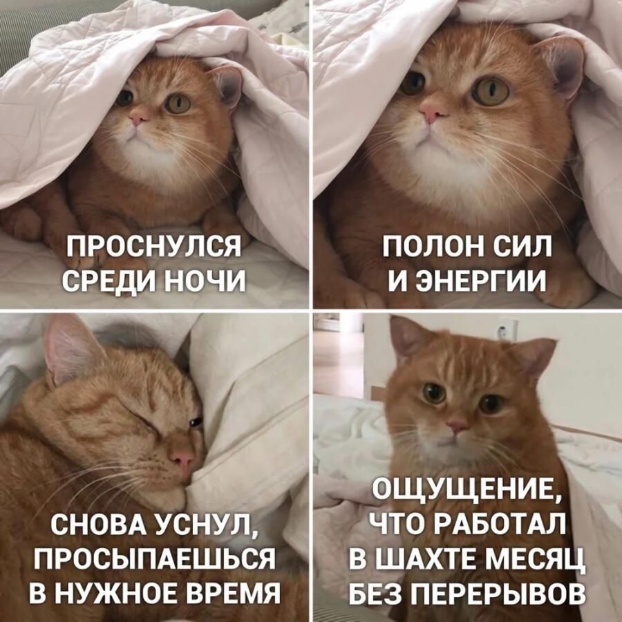 Мем от Звездоцап