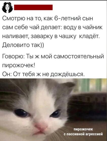 Как вы понимаете, у нас тут мемы из вк.