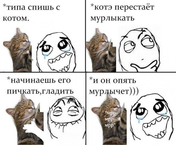ВАУ ВАУ КОТЫ.