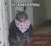 НЕСИ НЕСИ НЕСИ ЗАДОЛБАЛ! Подпишитесь пожалуйста.