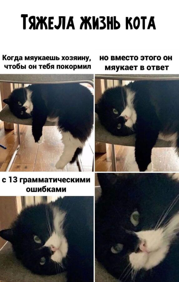 Мем без подписи