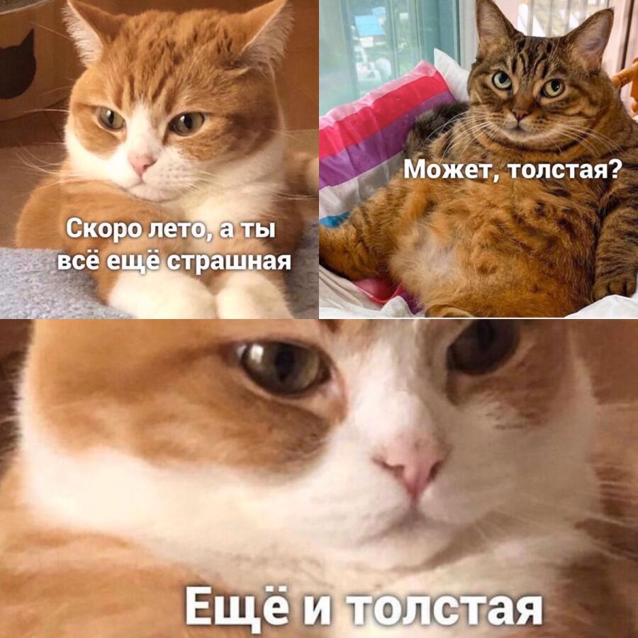 Где то в параллельной вселенной: