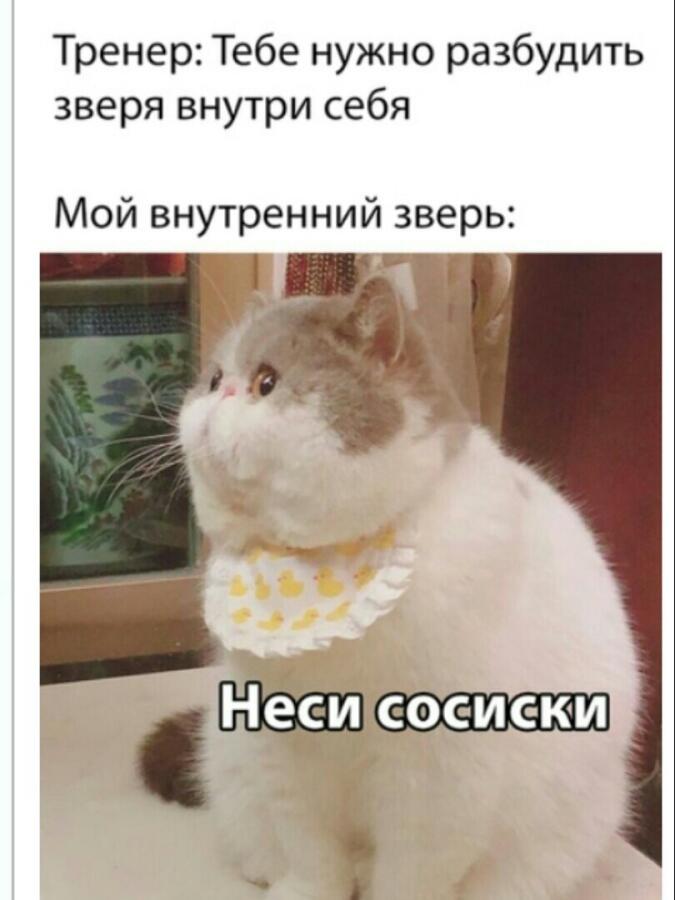 Мем от 🍩Котерия😺