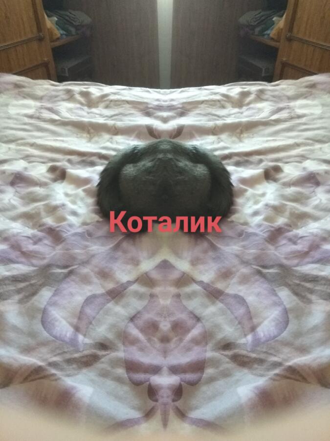 Мама: Над чем смеёшься?
Я: Ни над чем .
также я сидя телефоне: