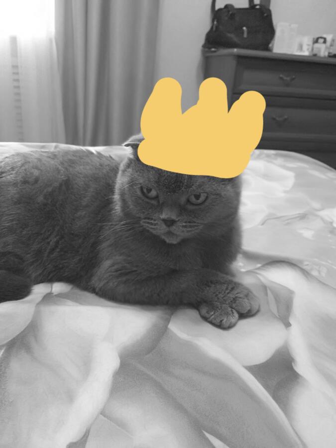 Бу¿!!!!?!!!!!! Перси с короной
