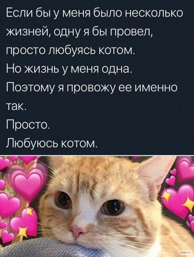 Мем без подписи