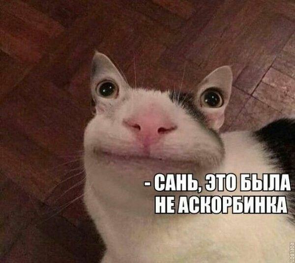 Мем от Бред